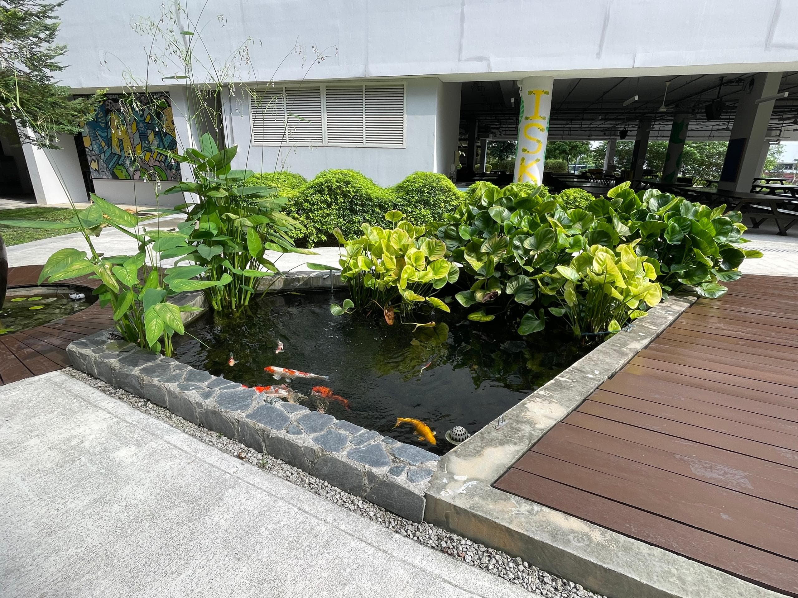 ISKL FishPond - 1