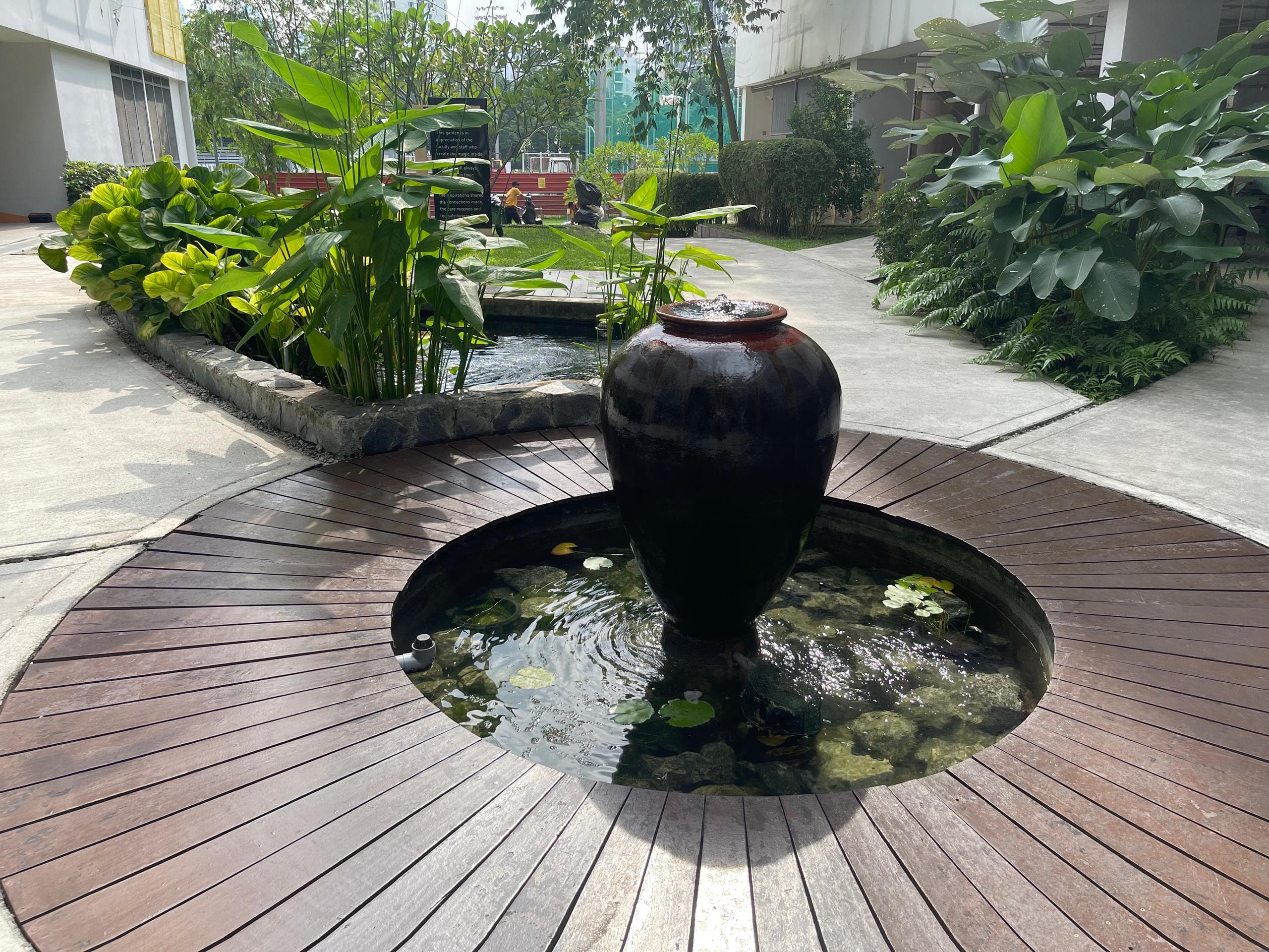 ISKL FishPond - 3