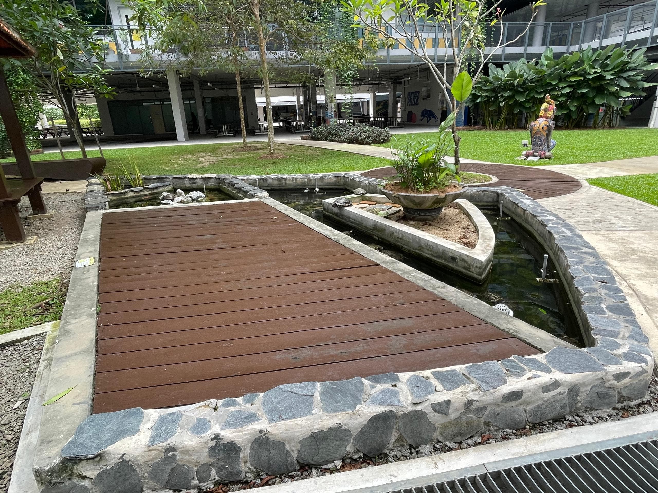 ISKL FishPond - 4