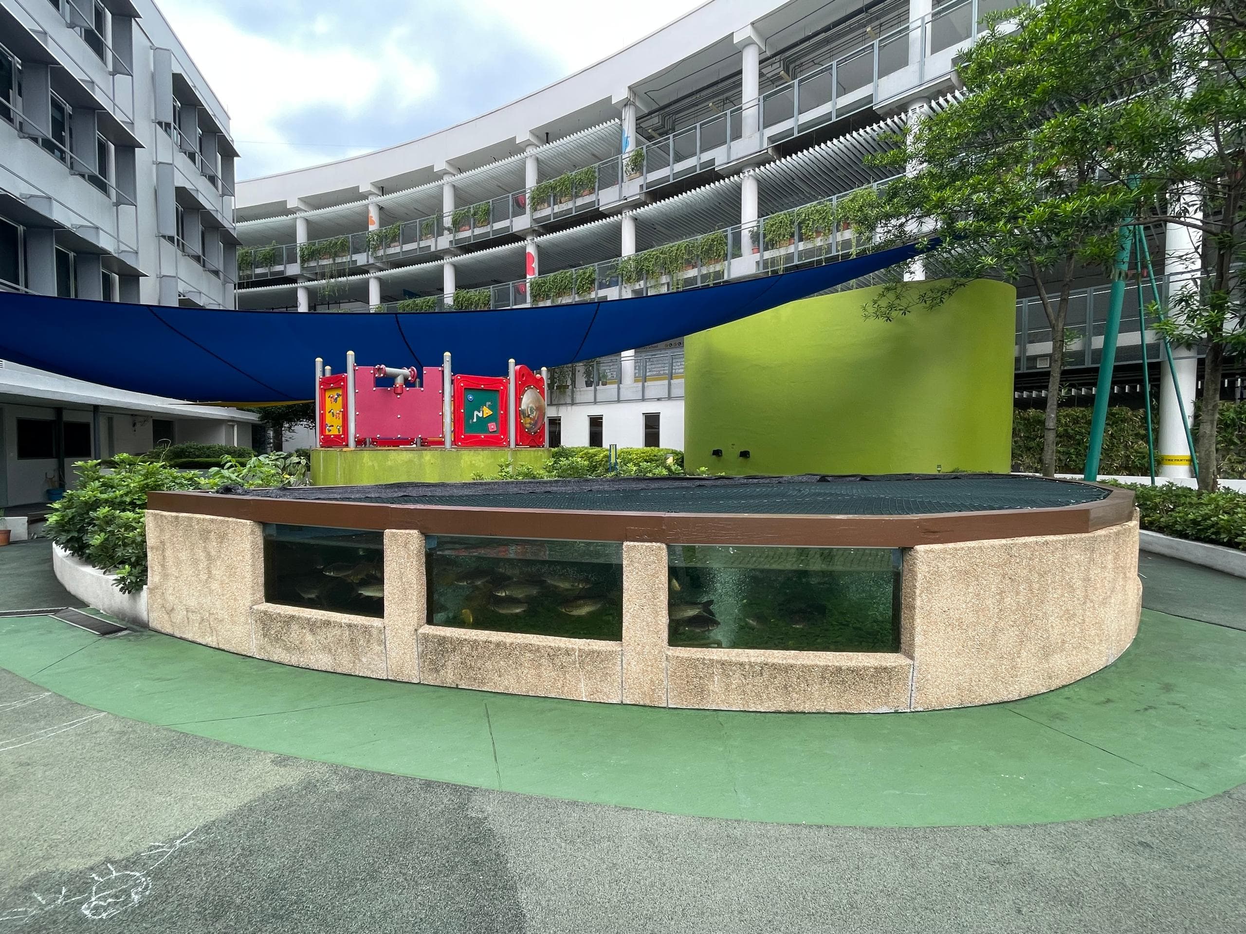 ISKL FishPond - 6